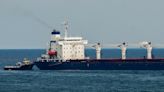 Inspections of Ukrainian grain ships halved since October