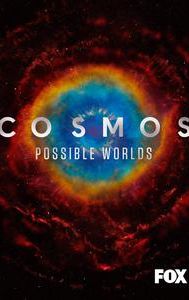 Cosmos: Possible Worlds