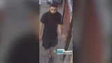 Suspect wanted for stealing pit bull tied outside store in the Morrisania section of the Bronx