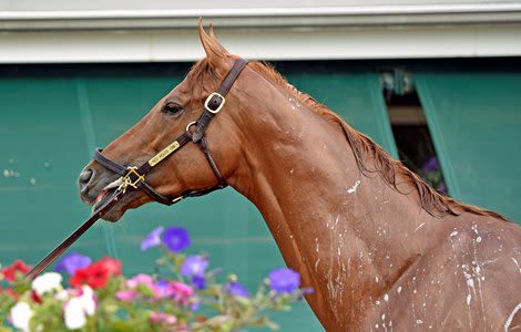 Stablemates Red Route One, Unload Go 1-2 in Cornhusker