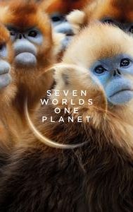 Seven Worlds, One Planet