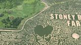 'World's largest' corn maze near St. Cloud features Halloween characters, 110-acres