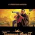 The Turkish Gambit (film)
