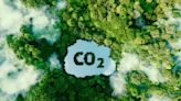 碳中和是什麼？跟淨零排放有什麼不一樣？臺灣要如何做到淨零排放？