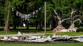 Alabama house used in 'Big Fish' movie burns after lightning strike, storm