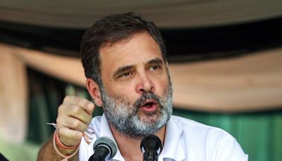 Parliament Standing Committees Formed, Rahul Gandhi On Defence Panel