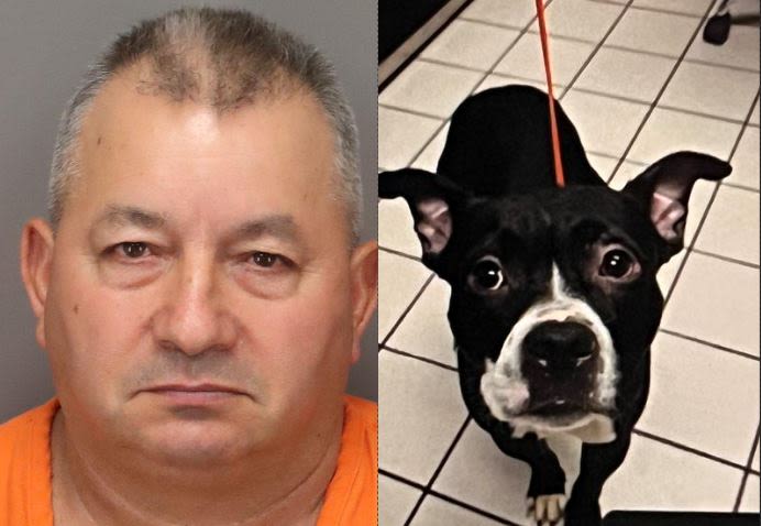 Man accused of decapitating dog he adopted from shelter days before