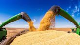 Brasil encerra colheita da soja 2023/24, diz Conab; milho verão está em 88,1% | Agro Estadão