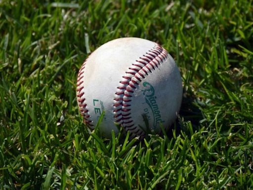 Saturday: Twins sitting pretty in standings after comeback win over Palmer | Peninsula Clarion