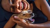 6 Signs Of A Happy Dog, According To Veterinarians