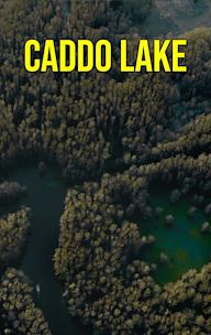 Caddo Lake