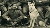 The soldier and para-dog buried together after D-Day