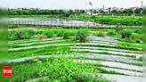 Restoration of Welcome Jheel Park in East Delhi Facing Setbacks | Delhi News - Times of India