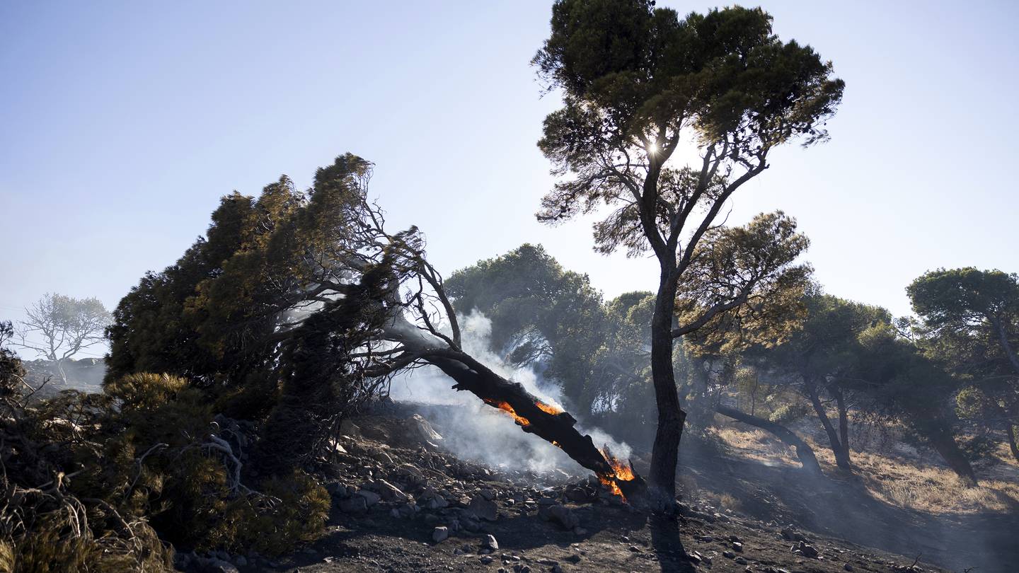 Firefighters tackle blazes on Greek islands of Chios and Kos as premier warns of 'dangerous summer'