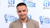 Liam Payne aceptaría que su novia fuera una cazafortunas