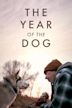 The Year of the Dog