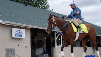 Full horses list and latest odds for the 2024 Preakness Stakes