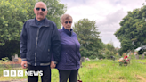 'Family stuggles to reach graves in overgrown Dudley yard'