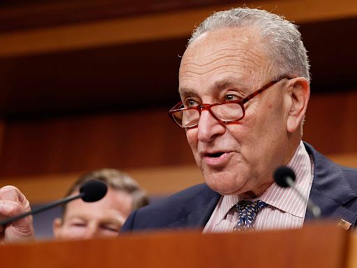 Schumer's October gift for embattled Senate Democrats