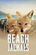 Beach Jackals