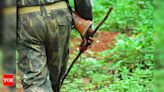 Two women Naxalites carrying Rs 16 lakh rewards surrender in Gadchiroli | India News - Times of India