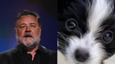 Russell Crowe announces death of ‘cheeky, brave’ dog Louis