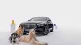 Mercedes-Benz推出全新MBUX Bark Assist狗語音助理功能