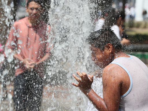 Las altas temperaturas han causado 61 muertes en México en lo que va de 2024