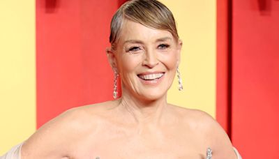 Sharon Stone's Debilitating Stroke Cost Her Millions: See Her Net Worth Now