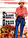 Short Grass