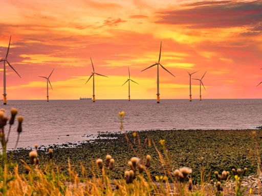 What will the UK general election mean for renewables?