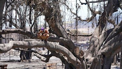 Hope | Maui fire survivors tour Lahaina town nearly a year after disaster