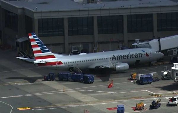 American Airlines claims 9-year-old 'should have known' she was being recorded in plane bathroom