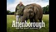 The Giant Elephant - HD Documentary - David Attenborough - YouTube