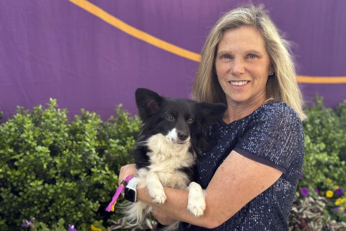 Westminster dog show has its first mixed-breed agility winner, and her name is Nimble