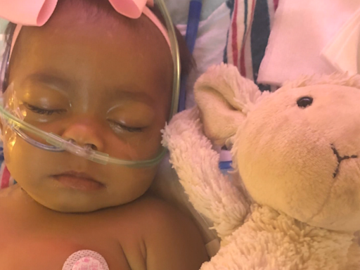 Team Teagan: Young girl thriving after liver transplant from Central Florida program at 9 months old