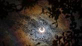 How to protect your pets, livestock during Monday's solar eclipse