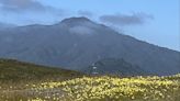 Marin hike: A spectacular hike on Ring Mountain