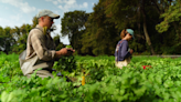 Farmers at the Intervale Center on a steady but uncertain path to post-flood recovery