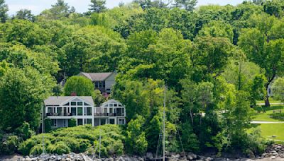 Wealthy couple allegedly poisoned neighbor’s trees to get better view of Camden Harbor