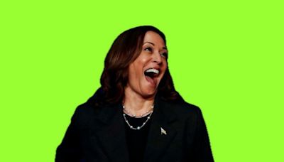 Coconuts, brat and the viral campaign behind Kamala Harris