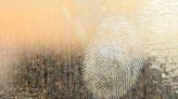 You leave a 'microbe fingerprint' on every piece of clothing you wear—and it could help forensic scientists solve crimes