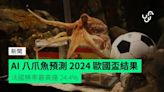 AI 八爪魚預測 2024 歐國盃結果 法國勝率最高達 24.4%