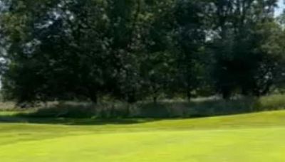 Golfer stunned by 3ft-long poisonous snake slithering across the green