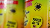 Paris has an Olympic-size bedbug problem