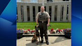 DCSO welcomes Remco, their fourth K9