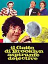 Il gatto di Brooklyn aspirante detective