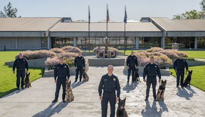 California Highway Patrol adds eight new canine teams, brings state total to nearly 50