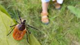4 lesser-known Lyme disease symptoms to be aware of