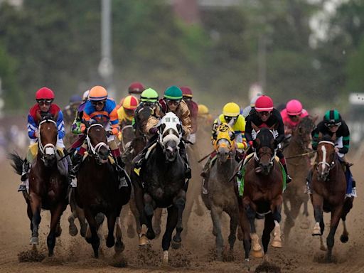Preakness Stakes 2024 Odds And Horse Profiles